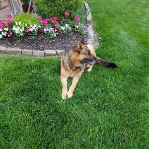 Meet your Posher, Dee